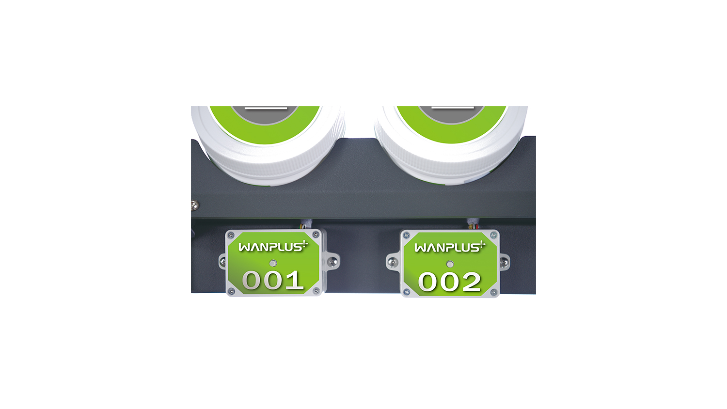 Electronic label picking system